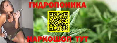 ALPHA PVP Гатчина