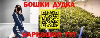 ALPHA PVP Гатчина
