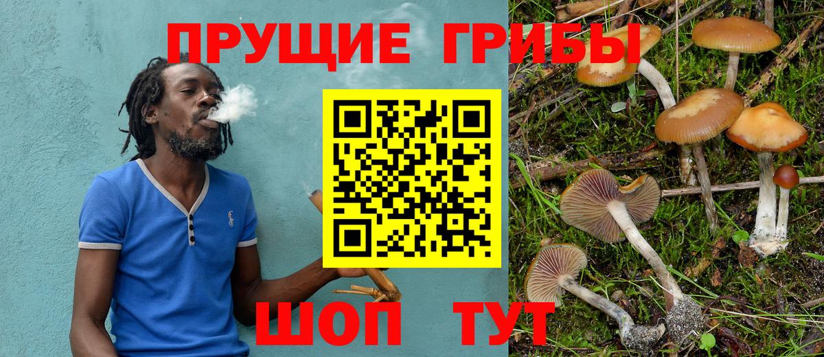 Нововоронеж  Галлюциногенные грибы Magic Shrooms  Псилоцибиновые грибы Cubensis  Вход с VPN 