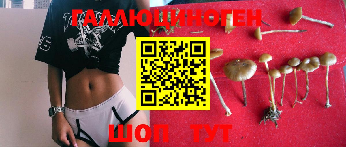 Галлюциногенные грибы Magic Shrooms Нововоронеж