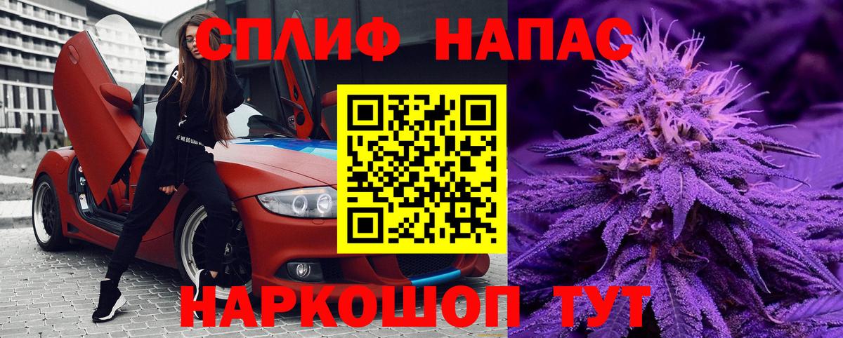Бошки Шишки гибрид Нововоронеж